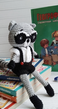 my raccoon