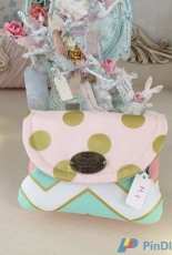 Bolsa / Case