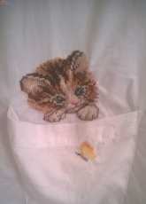 cat on the white shirt