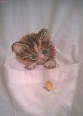 cat on the white shirt