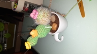 Cactus cup