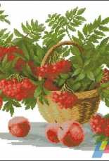 Charivna Mit M-222 - Rowan Curly