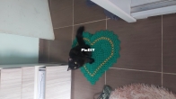 Heart hug
