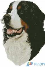 Cross Stitch Collectibles RM-14 - Bernese Mt. Dog