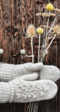 A Little Womans Mittens by Anja Heumann - English