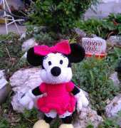 minnie mouse