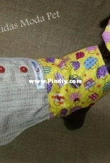 Pet na Moda