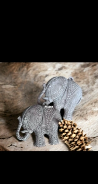 Elephants