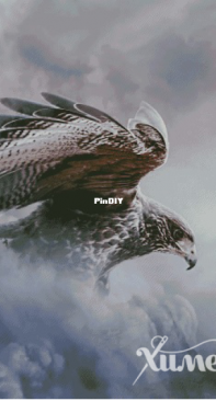 Chimera - Kindred Spitit Eagle