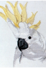 Ross Originals - Sulphur Crested Cockatoo
