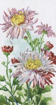 RTO M517 Dahlia XSD