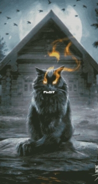 Sorcerers Cat by Katrusiny Rukodelki / Katrusya