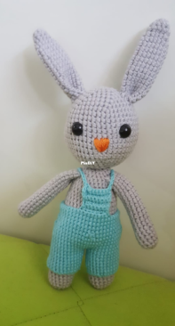 Little gray bunny