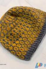 Midwinter Woolfeast-Tiled Beanie by Rhiannon McCulloch-Free