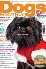 Dogs Monthly - December 2018