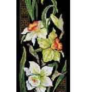 Riolis 842 Narcissus