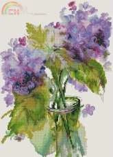 RTO M545 Inflorescences of Hydrangea XSD