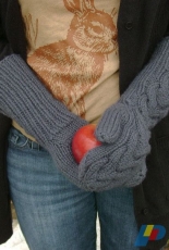 Bellas Mittens by Marielle Henault / subliminalrabbit-Free