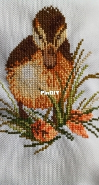 Duckling by lanarte.