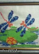 Dragonflies