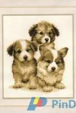 Vervaco PN-0147003 Dogs in PAT