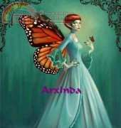 Arxinda - Butterflies