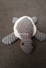 little turtle