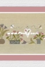 Jardin Prive - Harmonie de Fleurs