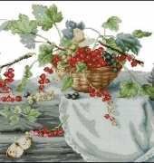 Luca-S B2262 - Red Currants