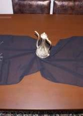 Tablecloth