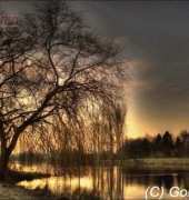 Golden Kite GK 1674 - Sunset at Lake