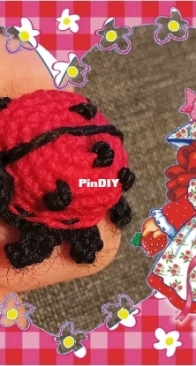 Mini ladybug