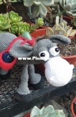Dusty the donkey