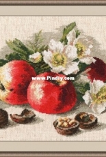Oven / OBEH / Aries (Овен) 620 - Still Life With Apples
