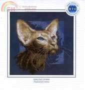 RTO M218 - Gracious Sphinx