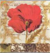 DMC BK235 Poppy