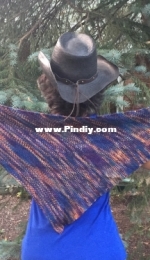 Not My First Rodeo by Amy Williams-Free