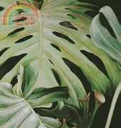 I Love CrossStitch SBL-002 Pulelehua