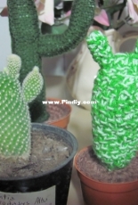 Knitted cactus 4