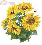 Riolis 776 Sunflowers