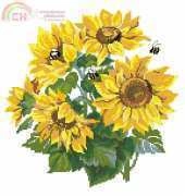 Riolis 776 Sunflowers