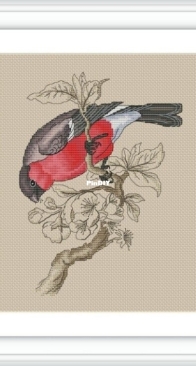 Bullfinch by Anna Ulchitskaya