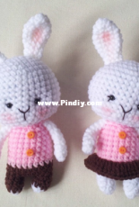 Amigurumi by Orange - Orange Amigurumi - Namsom Pan - Saovalux Asaman - Mini Bunny Couple - น้ำส้ม ปั่น - เสาวลักษณ์ อาสมาน - กระต่ายคู่รักจิ๋ว - Thai