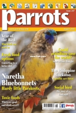 Parrots - August 2018
