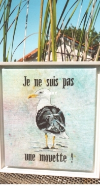 Isabelle Vautier - Je Ne Suis Pas Une Moyette from Couleurs de Ocean