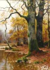 Golden Kite GK 1984 Bachlauf im Herbstwald