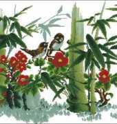 DOME 90612 - The Green Bamboo