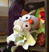 Owl in display