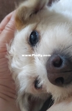 my lovely Coco