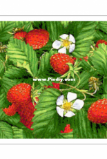 Better Cross Stitch - Strawberries - Free